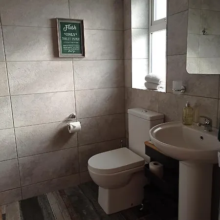 The Sleepy Leprechaun