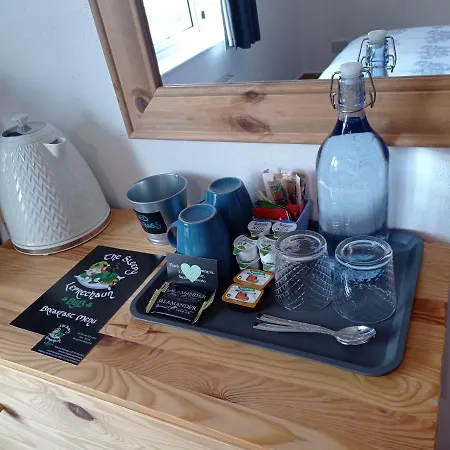 The Sleepy Leprechaun