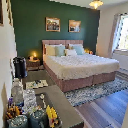 The Sleepy Leprechaun Doolin