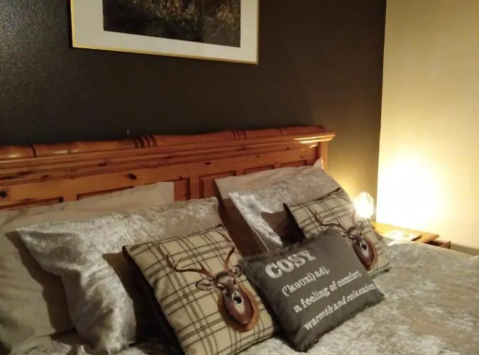 The Sleepy Leprechaun