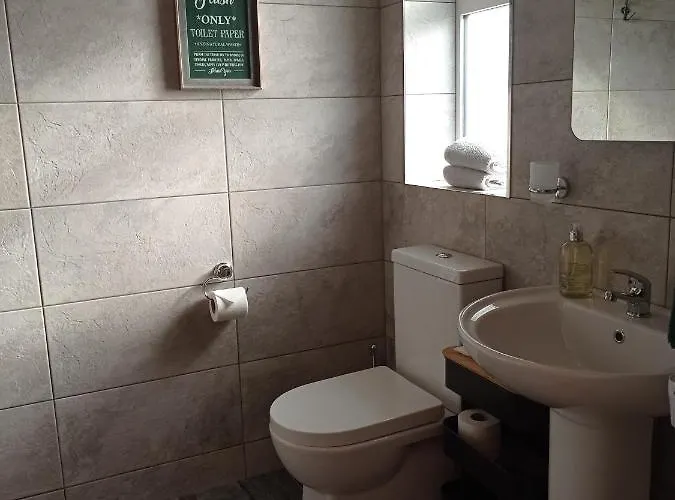 The Sleepy Leprechaun