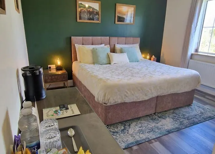 The Sleepy Leprechaun Doolin